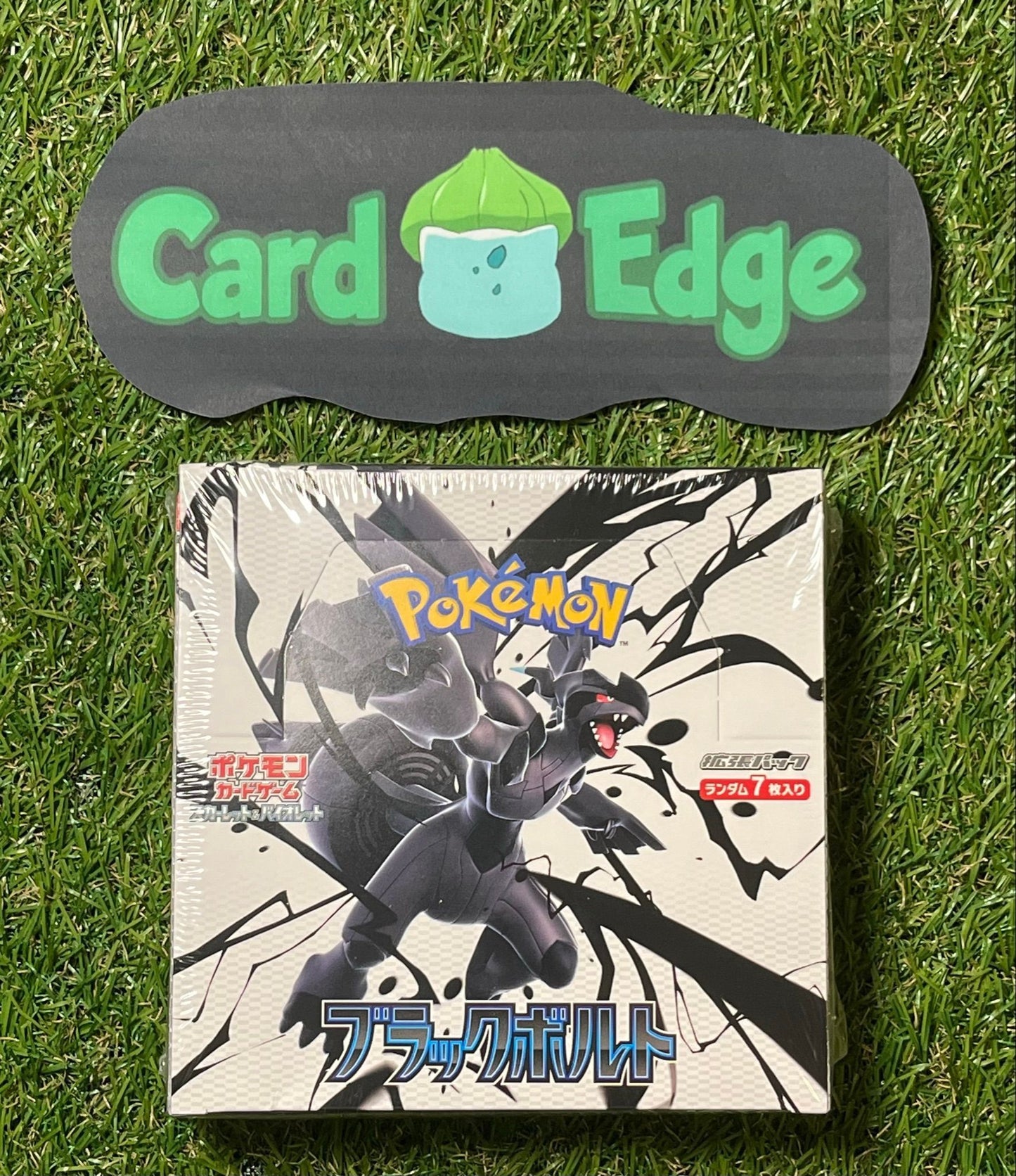 Pokemon Black Bolt (sv11B)